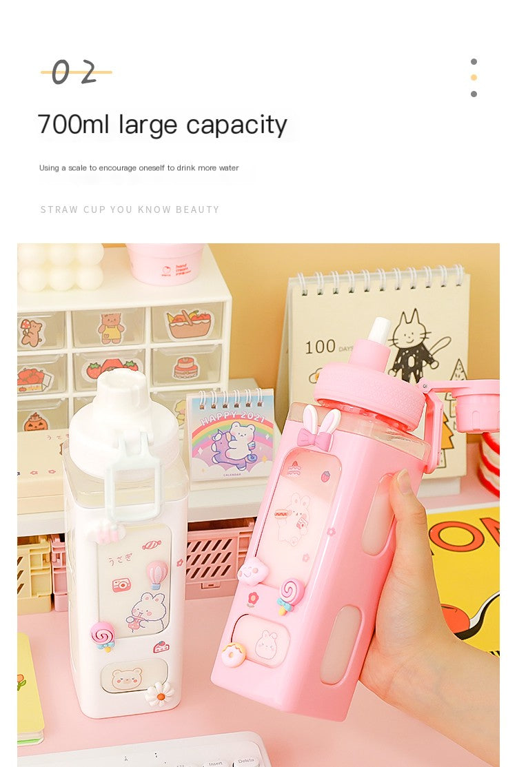 Cute Plastic Straw Sports Cup